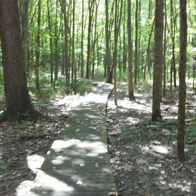 Collier (Howard) State Nature Preserve • ★4.6 (21) on OverlookMaps.com