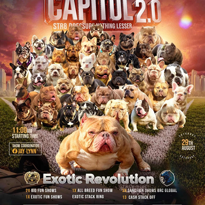 THE CAPITOL 2'0 STR8 PRESSURE NOTHING LESSER DA EXOTIC REUNION