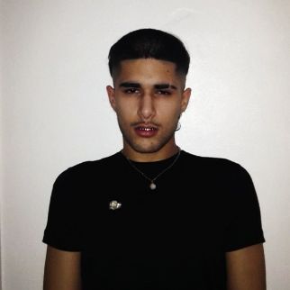 fakemink