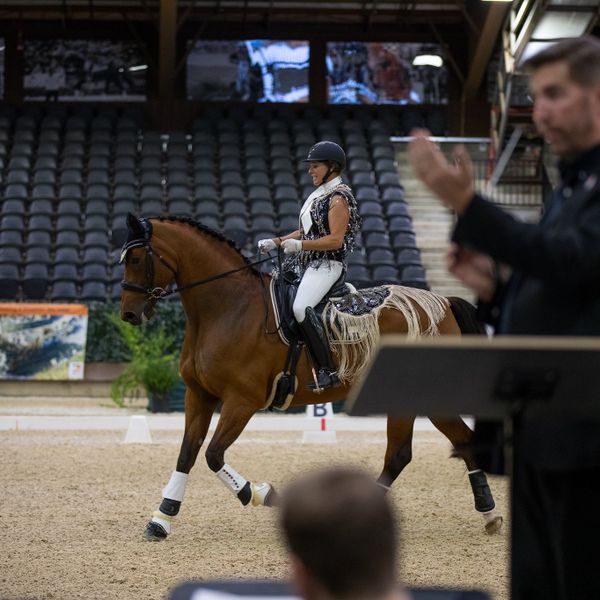 Divertimentos & Dressage