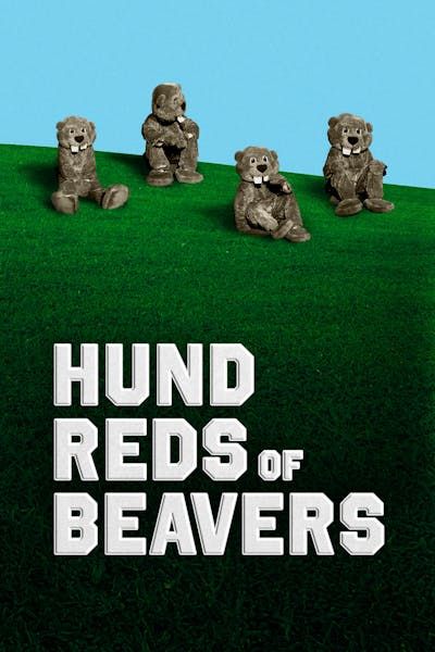 HUNDREDS OF BEAVERS