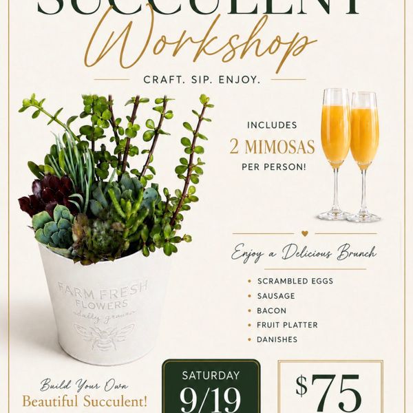 Succulent Workshop & Brunch 9/19