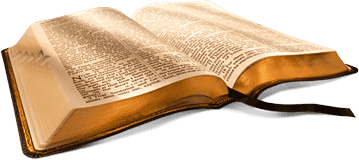 Bible Groups