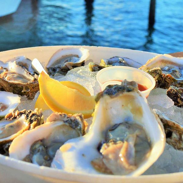 Jake Salter 3-7pm